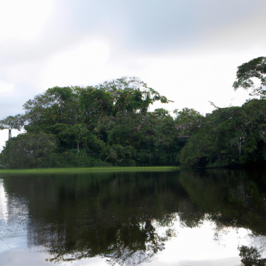 El Amazonas Es La Selva Tropical Más Grande Del Mundo.