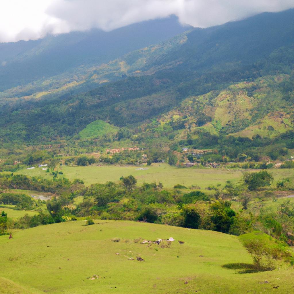 El Clima Tropical Se Caracteriza Por Altas Temperaturas Y Una Alta Humedad Durante Todo El Año. Se Encuentra En Regiones Cercanas Al Ecuador.