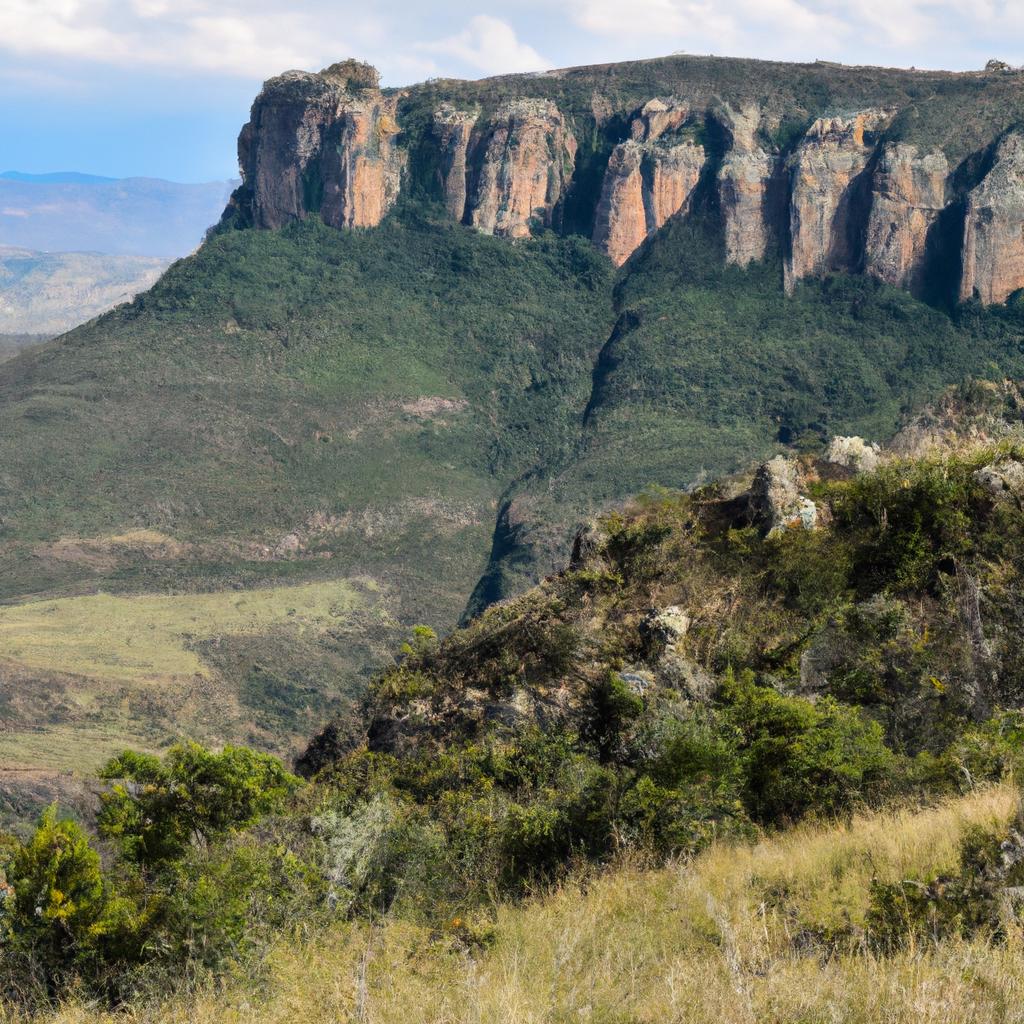 El Parque Nacional De La Montaña De La Mesa En Sudáfrica Es Famoso Por Su Biodiversidad Y La Planicie De La Cumbre De La Montaña.