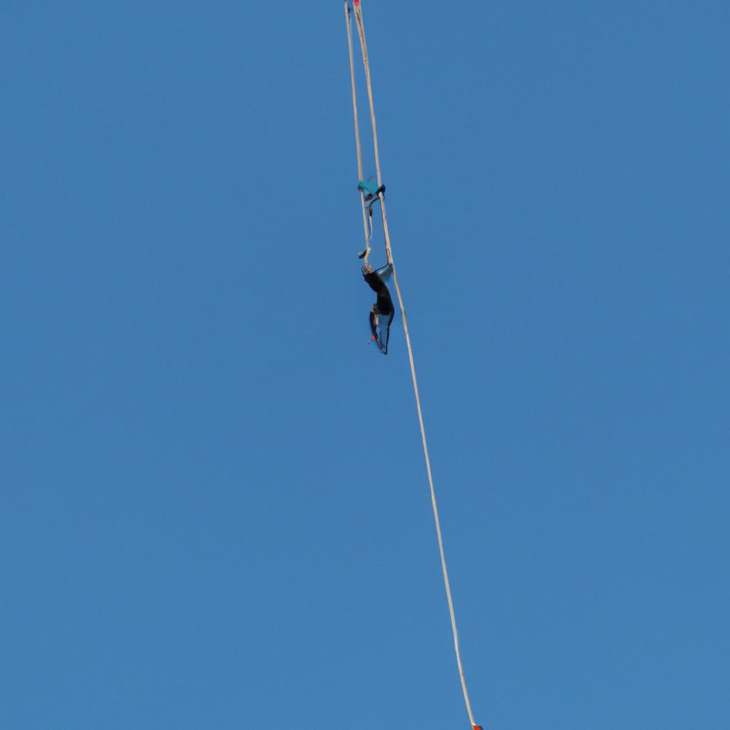 El Término 