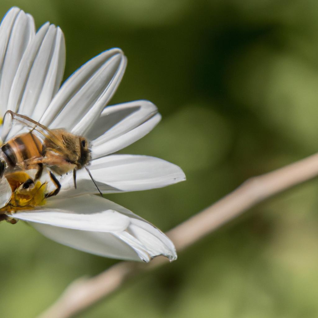 El Uso De Pesticidas En La Agricultura Puede Dañar A Los Polinizadores, Como Las Abejas, Y Afectar La Producción De Alimentos.