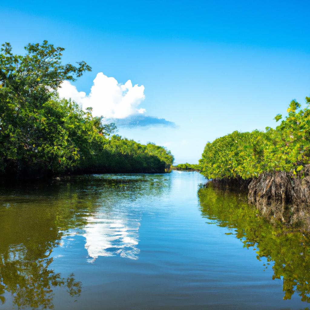 La Conservación De Los Ecosistemas De Manglares No Solo Protege La Biodiversidad, Sino Que También Proporciona Beneficios Económicos A Través Del Ecoturismo Y La Pesca Sostenible.