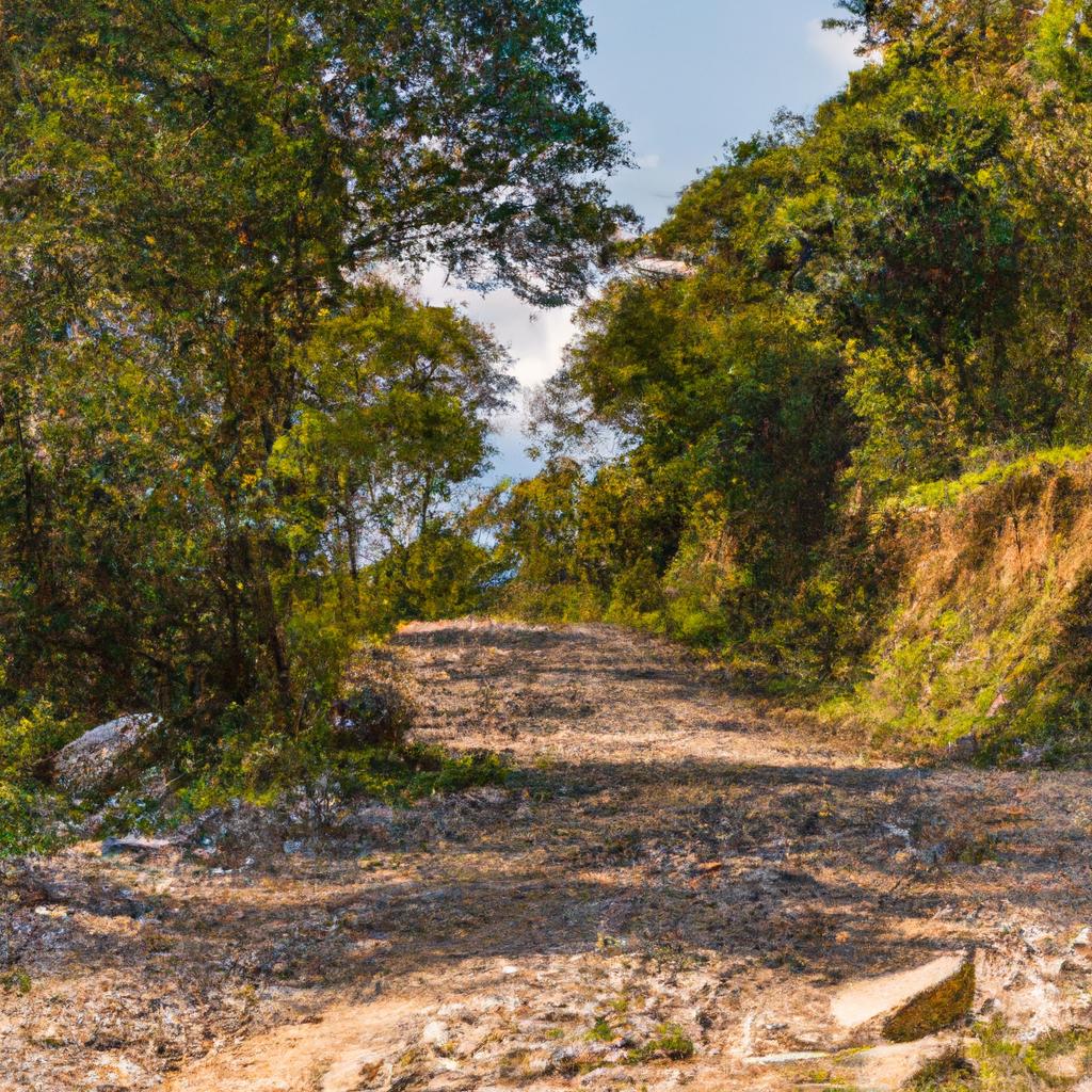 La Conservación De Los Ecosistemas Forestales Contribuye A La Regulación Del Clima, La Protección De La Biodiversidad Y La Provisión De Recursos Naturales Y Servicios Ecosistémicos.