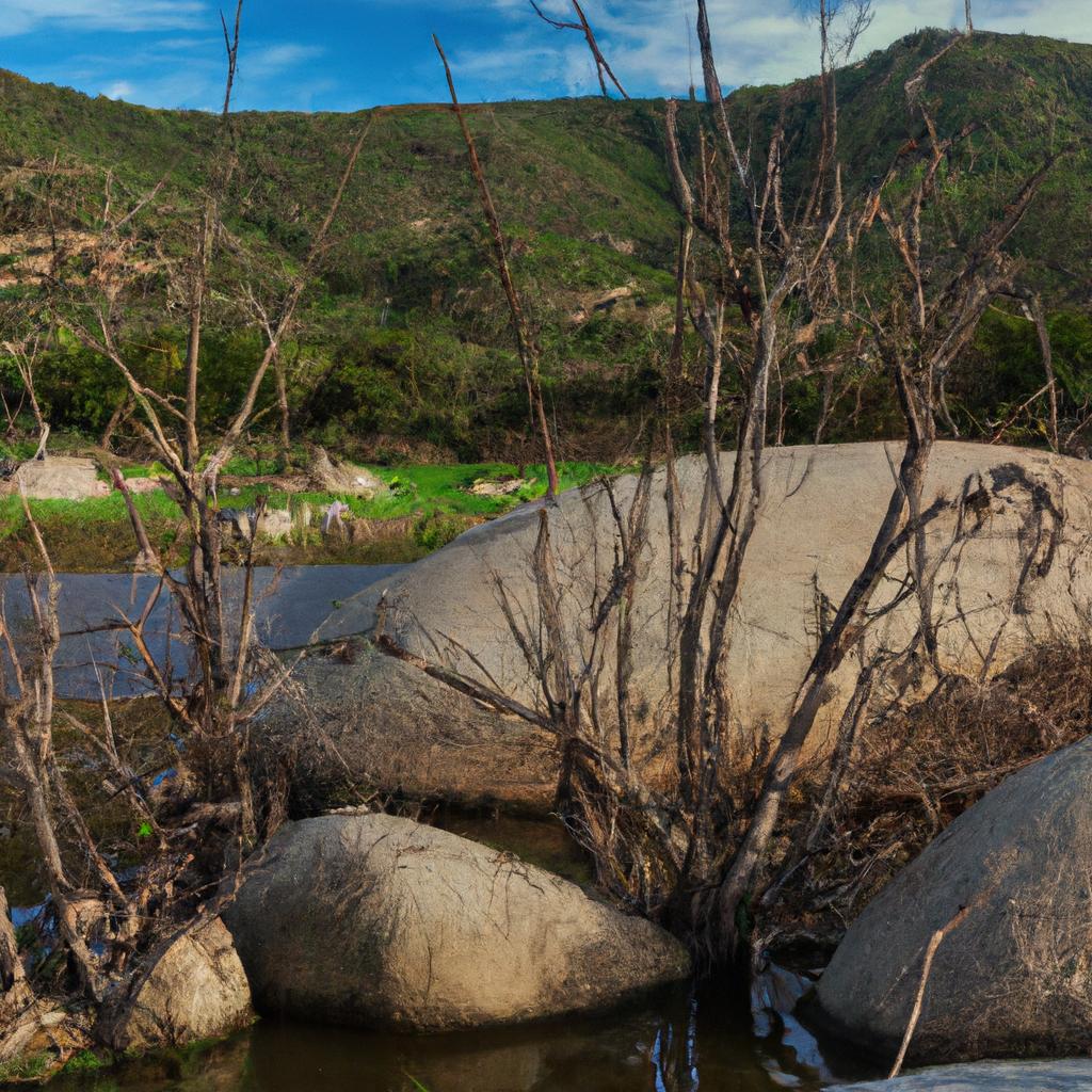 La Pérdida De Biodiversidad Puede Reducir La Capacidad De Los Ecosistemas Para Proporcionar Servicios Ecológicos Esenciales.