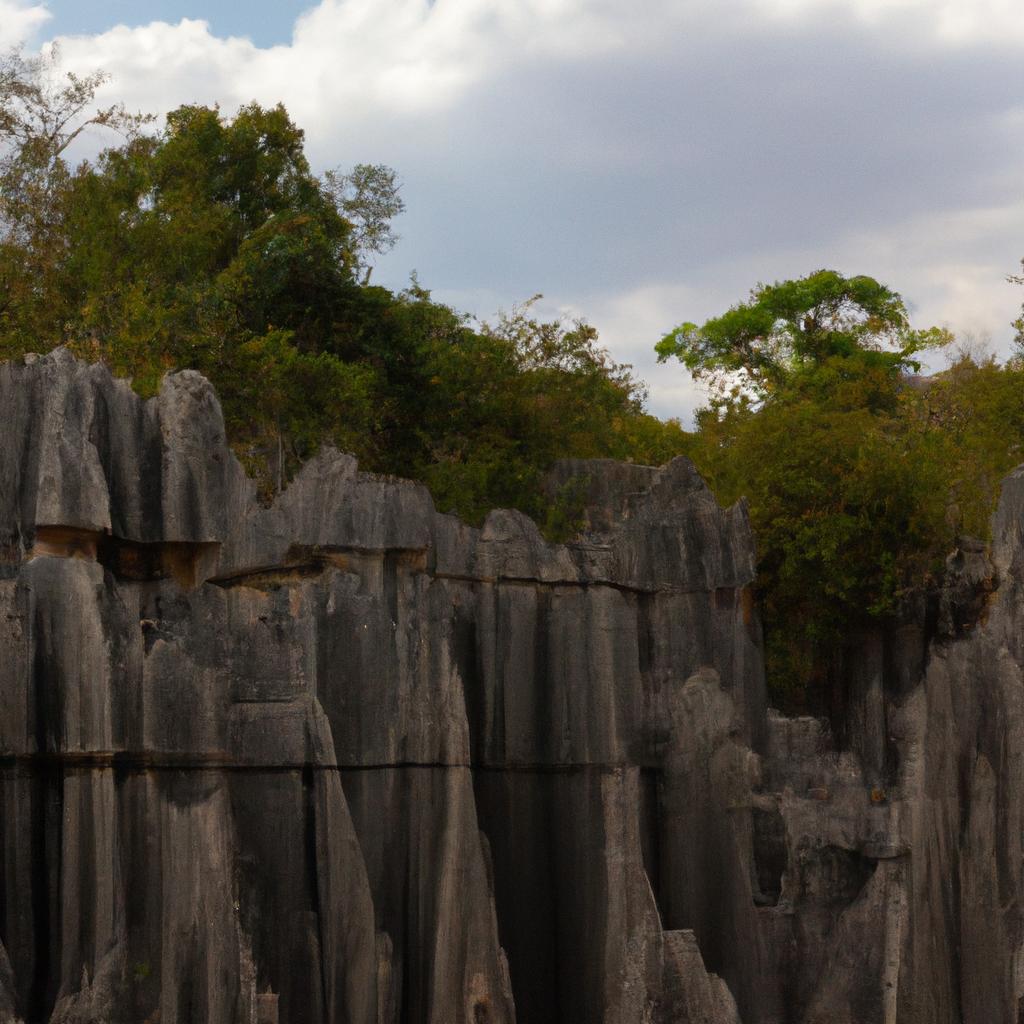 La Reserva Natural De Tsingy De Bemaraha En Madagascar Es Famosa Por Sus Formaciones De Piedra Caliza Afiladas Y Altas.