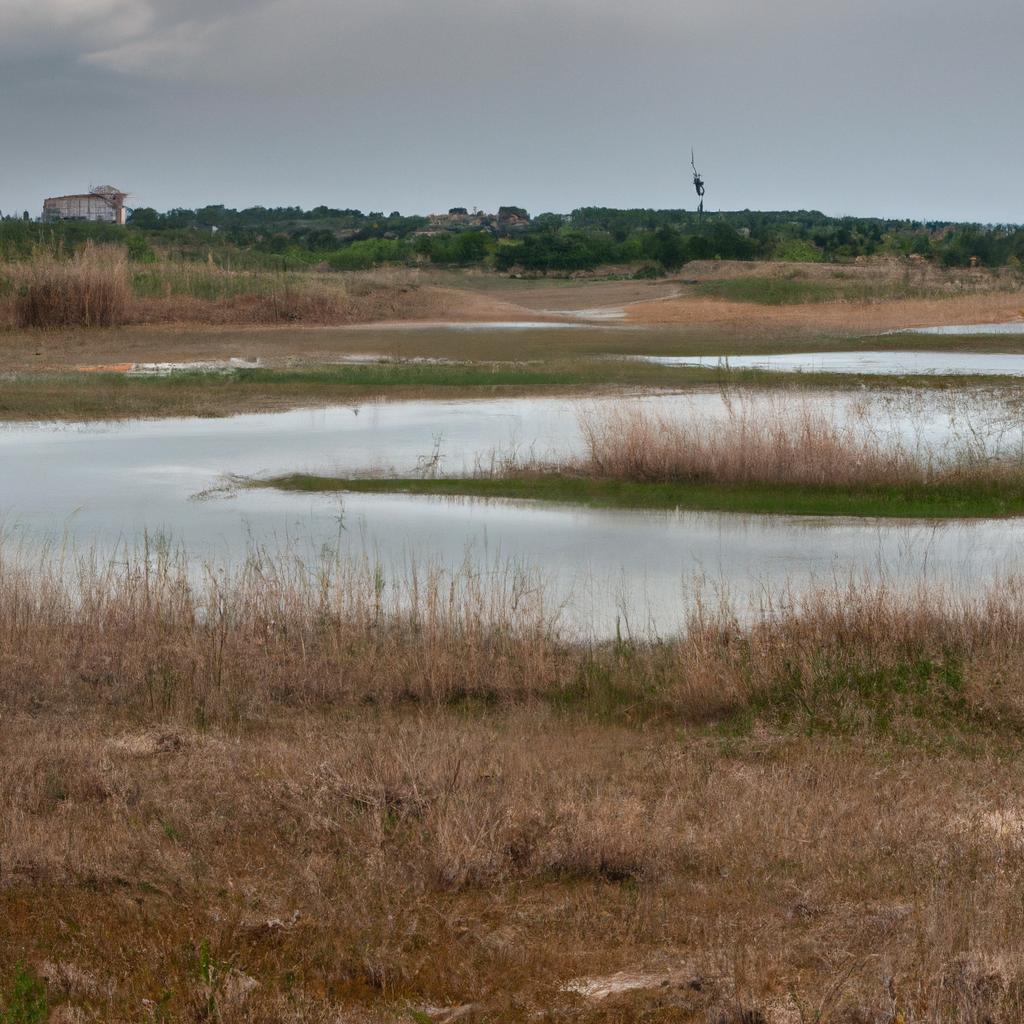 La Restauración De Humedales Degradados Puede Ayudar A Mejorar La Calidad Del Agua, Proporcionar Hábitats Para Especies Acuáticas Y Mitigar Los Efectos De Las Inundaciones.