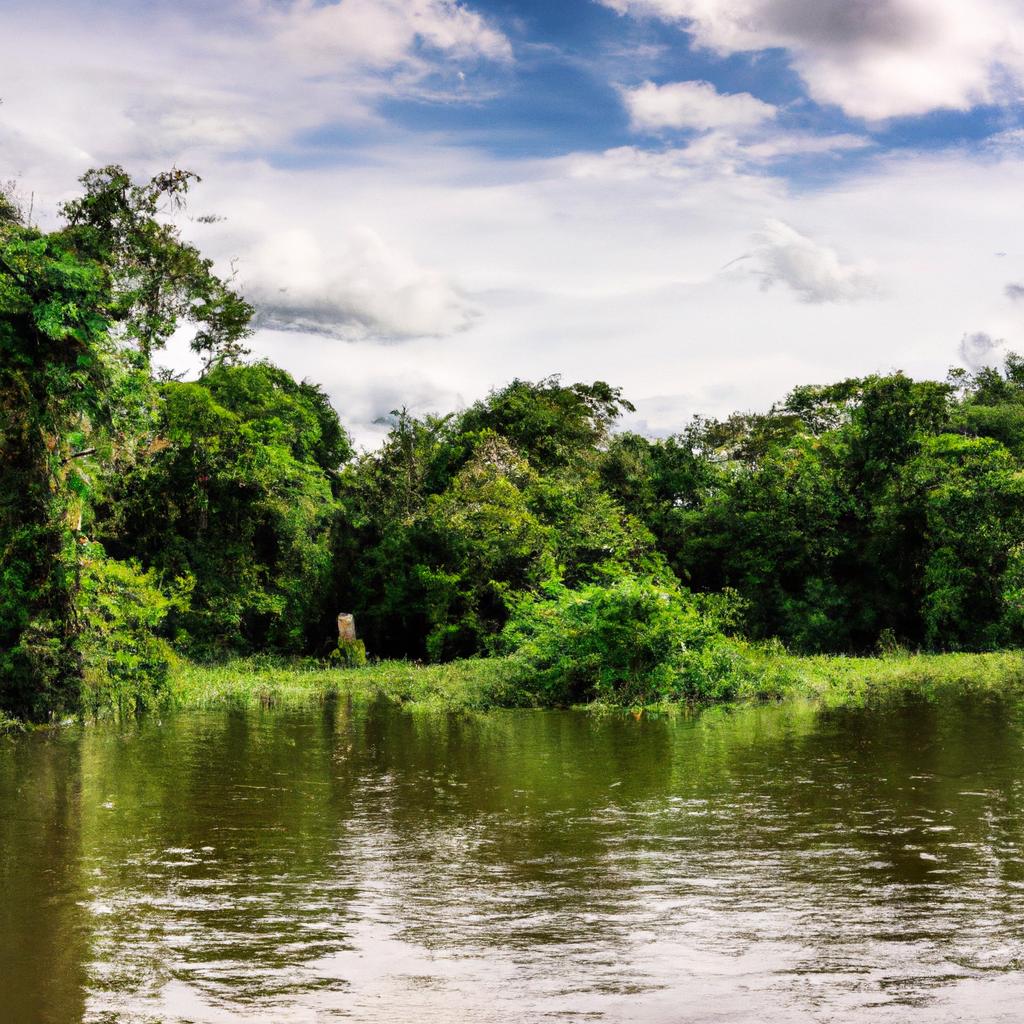 La Selva Amazónica Es La Selva Tropical Más Grande Del Mundo, Albergando Una Increíble Biodiversidad.