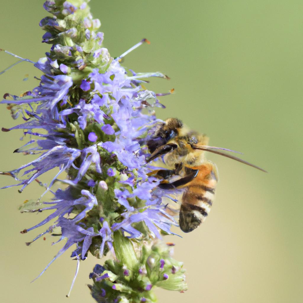 Las Abejas Desempeñan Un Papel Crucial En La Polinización De Las Plantas Y En La Producción De Alimentos.