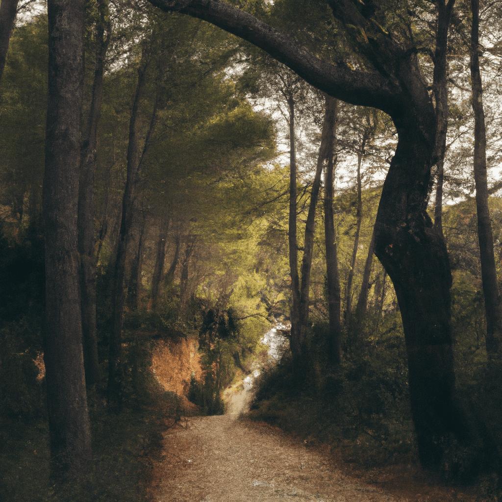 Pasar Tiempo En La Naturaleza Puede Mejorar El Estado De ánimo Y Reducir Los Niveles De Estrés.